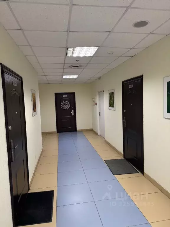 Офис в Свердловская область, Екатеринбург ул. Маяковского, 25А (26 м) - Фото 2