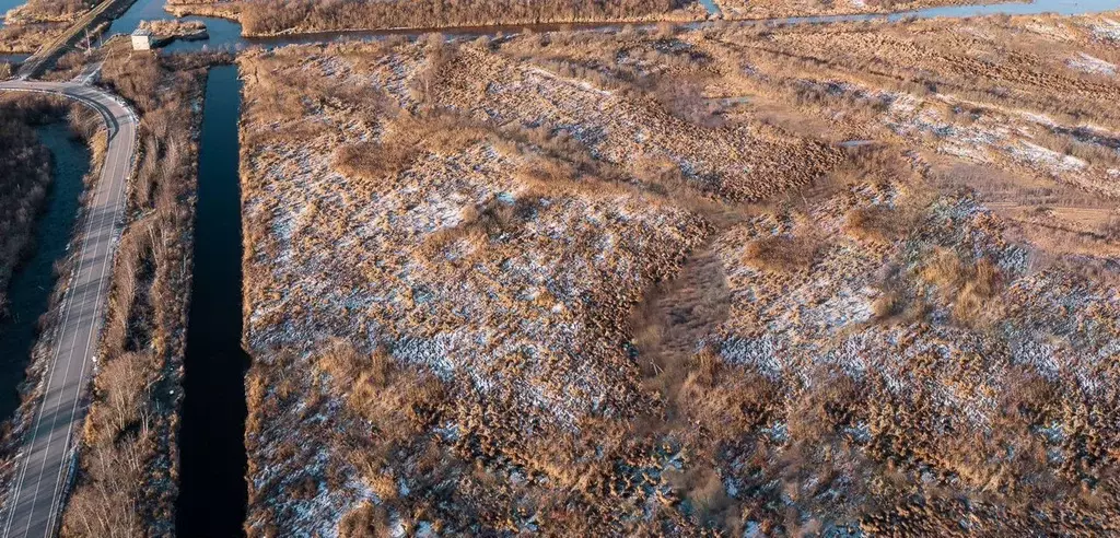 Участок в Ленинградская область, Волховский район, Свирицкое с/пос, д. ... - Фото 2