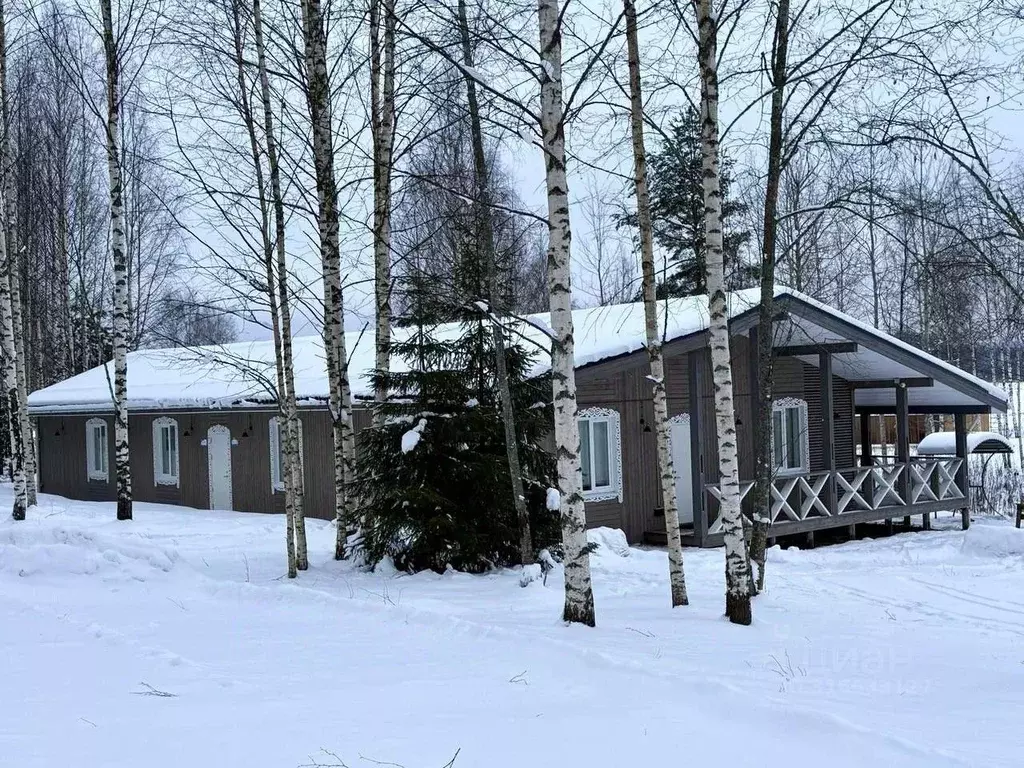 Дом в Новгородская область, Любытинское с/пос, д. Бор 129 (150 м) - Фото 2