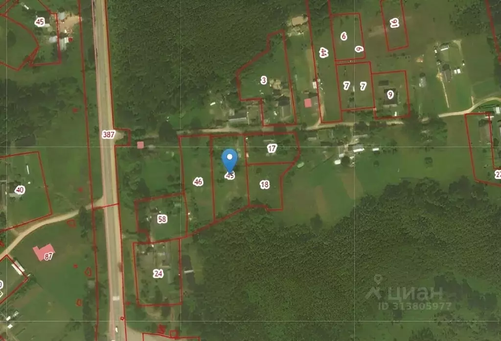 Участок в Псковская область, Невельский муниципальный округ, д. ... - Фото 2