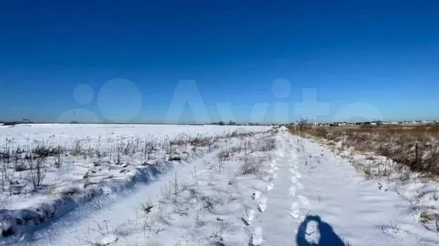 Участок 8 сот. (СНТ, ДНП) - Фото 1