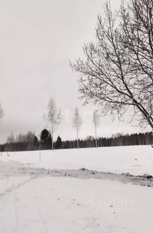 Участок в Пермский край, Добрянский городской округ, д. Залесная ул. ... - Фото 0