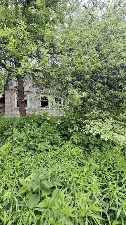 Дом в Нижегородская область, Кстово Нагорный СНТ,  (40 м) - Фото 1