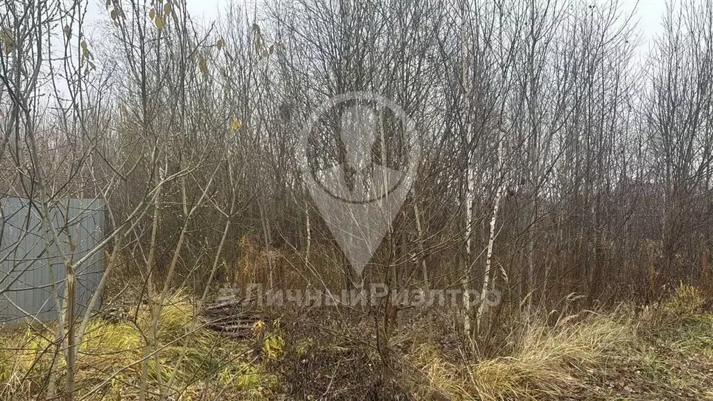 Участок в Рязанская область, Рязанский муниципальный округ, д. Рубцово ... - Фото 2