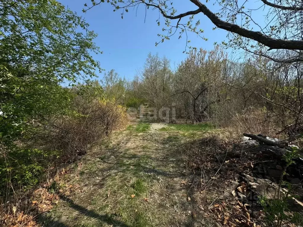 Участок в Приморский край, Надеждинский район, Звездный-1 СНТ  (6.0 ... - Фото 1