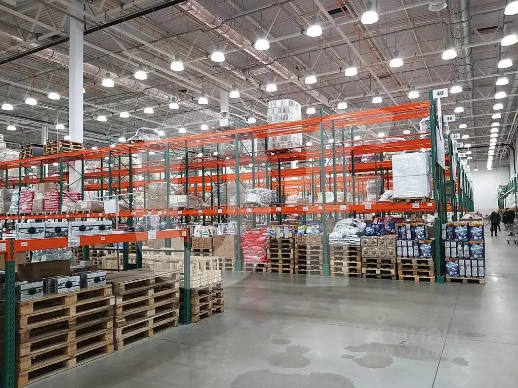 Склад в Московская область, Мытищи ш. Волковское, с42 (16251 м) - Фото 2