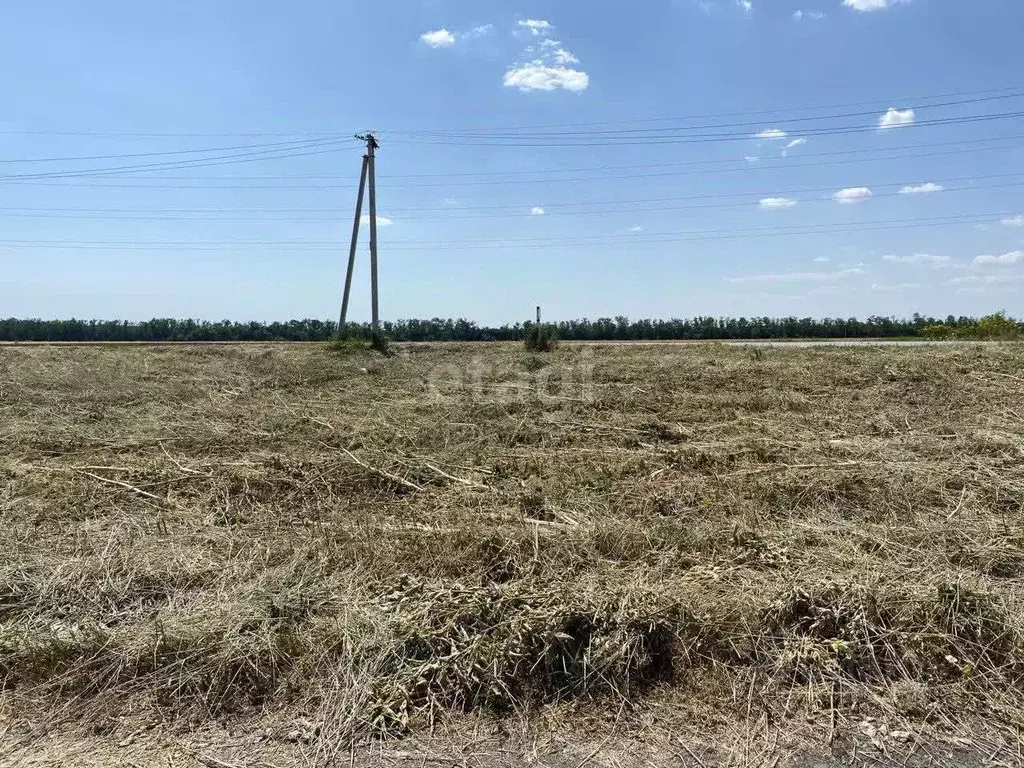 Участок в Ростовская область, Ростов-на-Дону Донподход СНТ, ул. 2-я ... - Фото 0