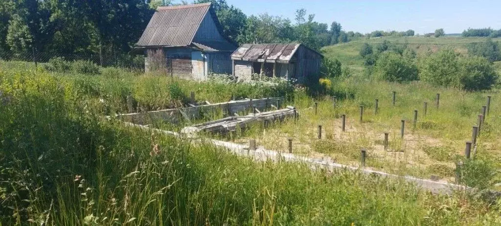 Участок в Владимирская область, Суздальский район, Новоалександровское ... - Фото 1