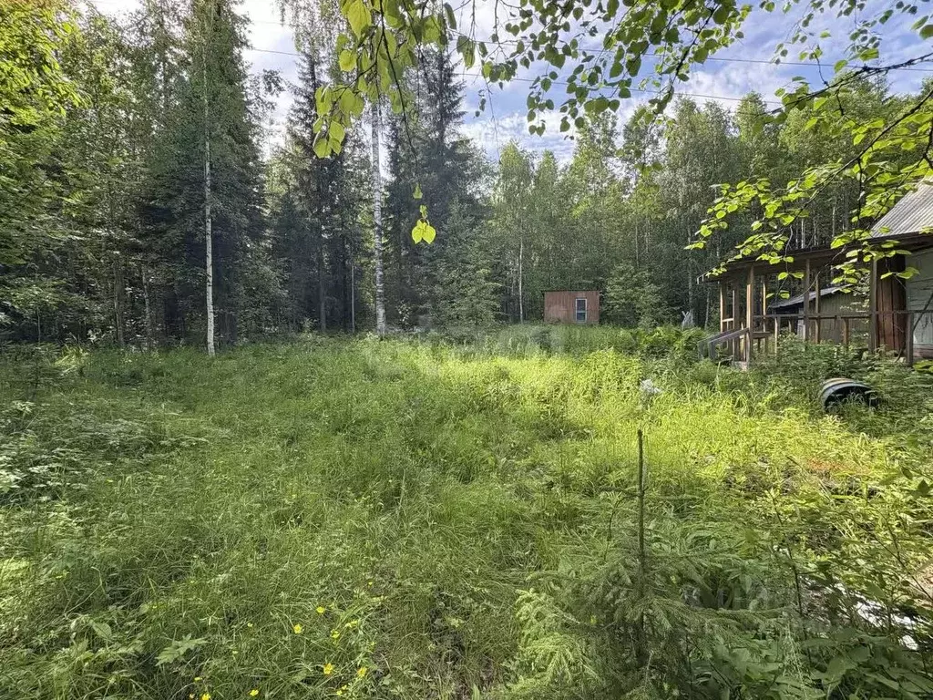 Участок в Архангельская область, Приморский муниципальный округ, У ... - Фото 0