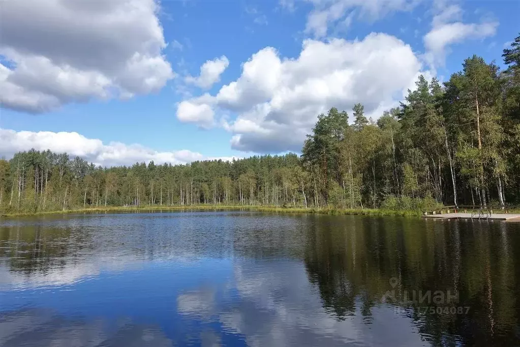 Дом в Ленинградская область, Всеволожский район, Токсовское городское ... - Фото 1