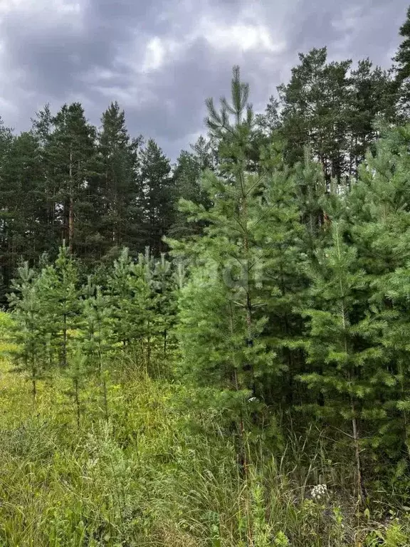 Участок в Свердловская область, Сысертский муниципальный округ, ЖКХ ... - Фото 1