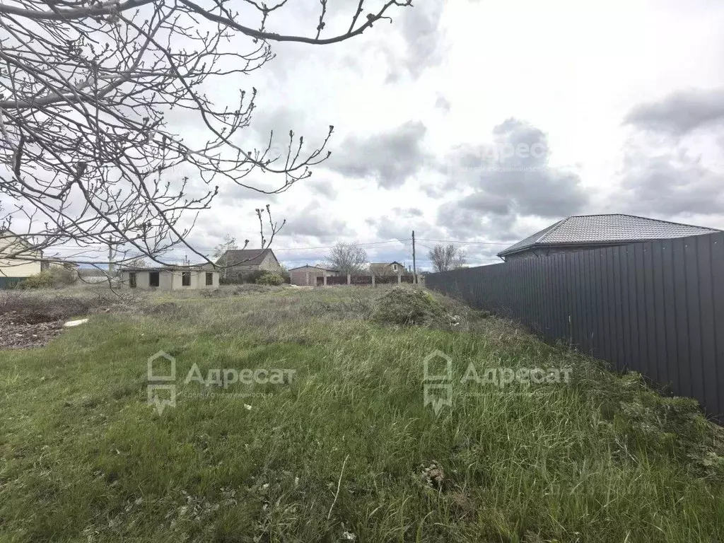 Участок в Волгоградская область, Городищенский район, Царицынское ... - Фото 1