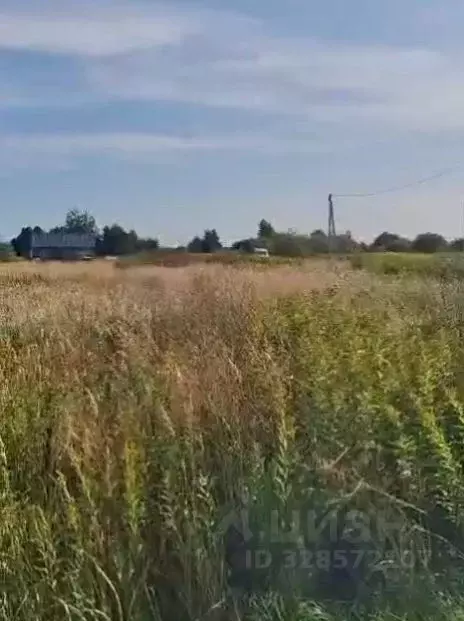 Участок в Калининградская область, Гурьевский муниципальный округ, ... - Фото 2