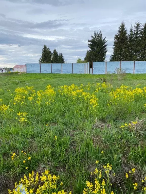 Участок в Ленинградская область, Всеволожский район, Агалатовское ... - Фото 1