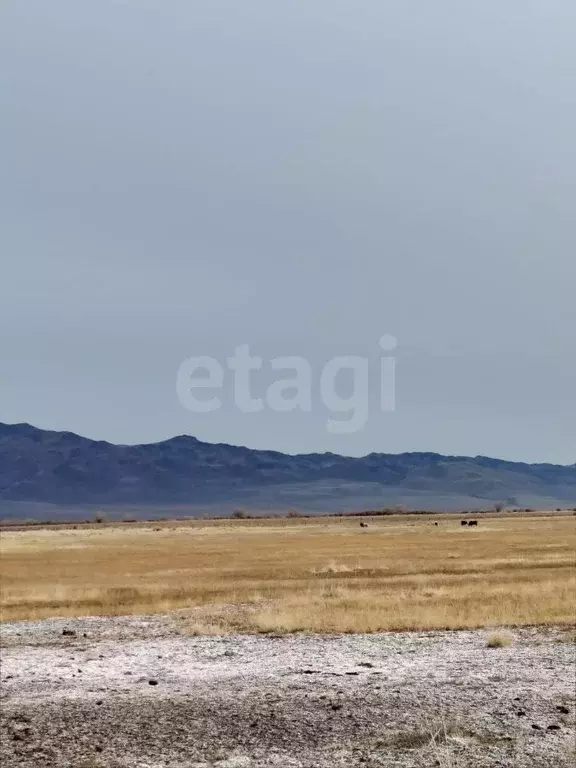 Участок в Алтай, с. Кош-Агач пл. Ленина (3347.06 сот.) - Фото 1