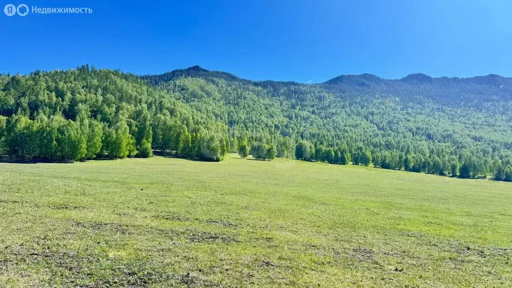 Участок в Усть-Коксинский район, село Мульта (200 м) - Фото 2