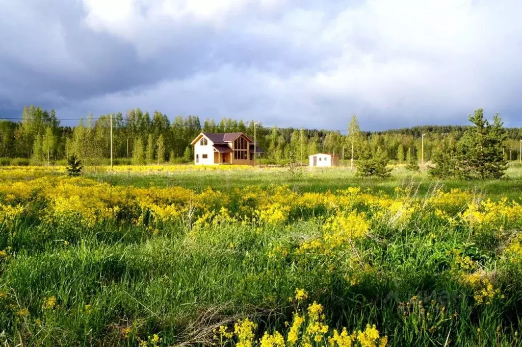 Участок в Московская область, Одинцовский городской округ, с. ... - Фото 1