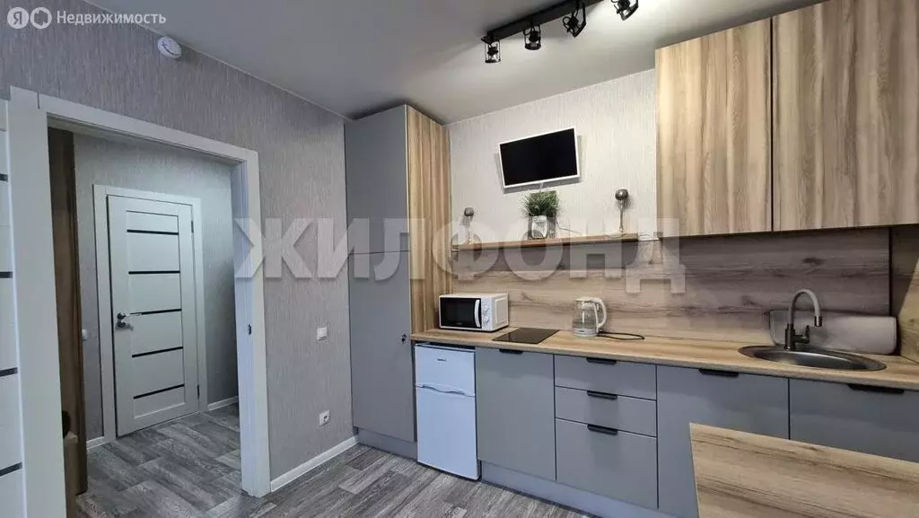 Квартира-студия: село Криводановка, Калиновая улица, 2 (25.7 м) - Фото 2