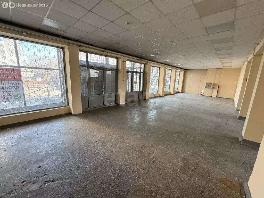 Помещение свободного назначения (330 м) - Фото 2