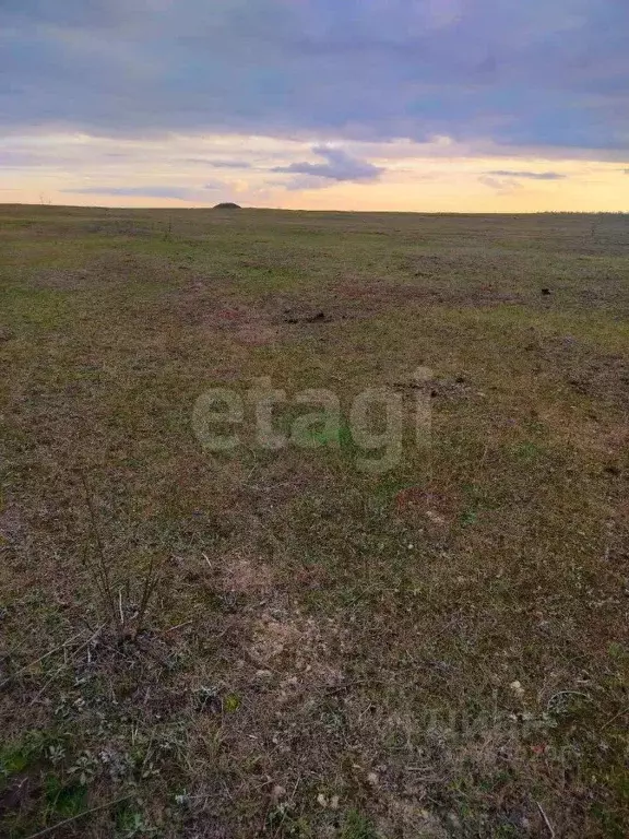 Участок в Саратовская область, Марксовский район, Зоркинское ... - Фото 2