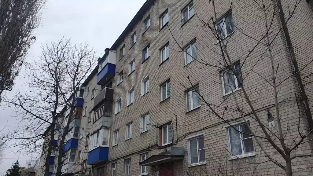 2-к кв. Липецкая область, Елец Новолипецкая ул., 9 (30.0 м) - Фото 0