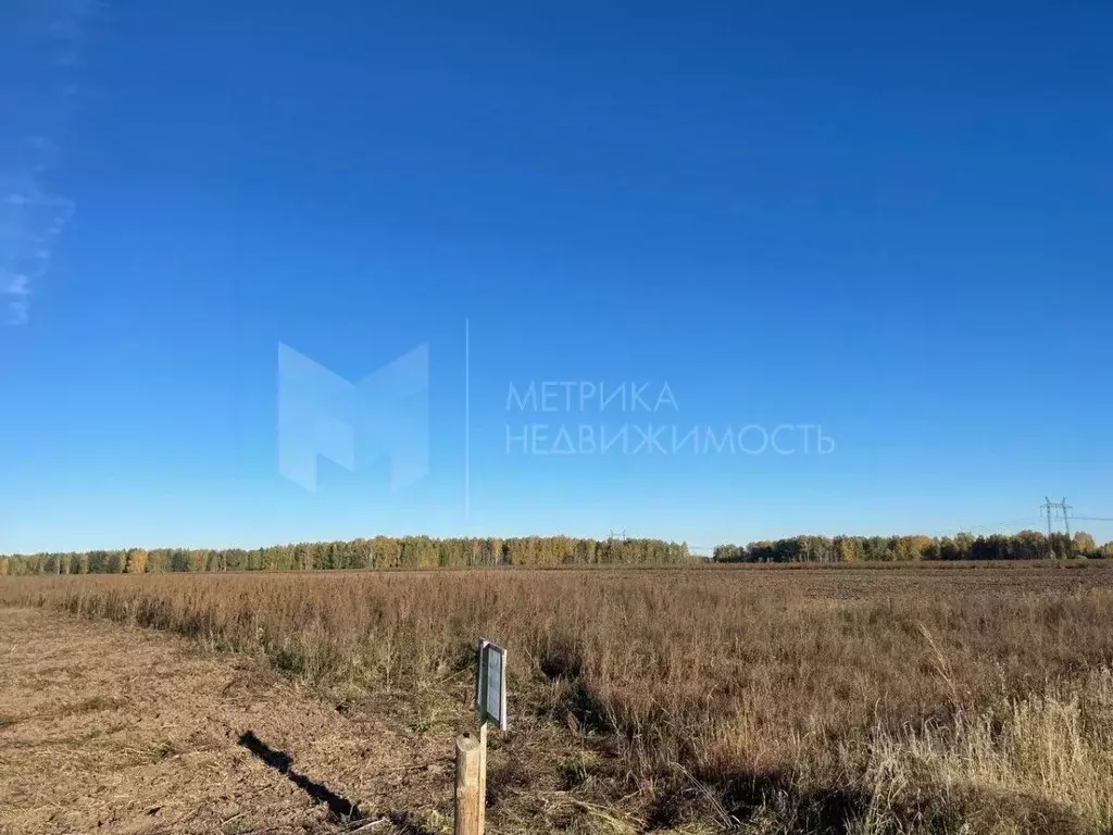 Участок в Тюменская область, Тюменский муниципальный округ, с. Каменка ... - Фото 1