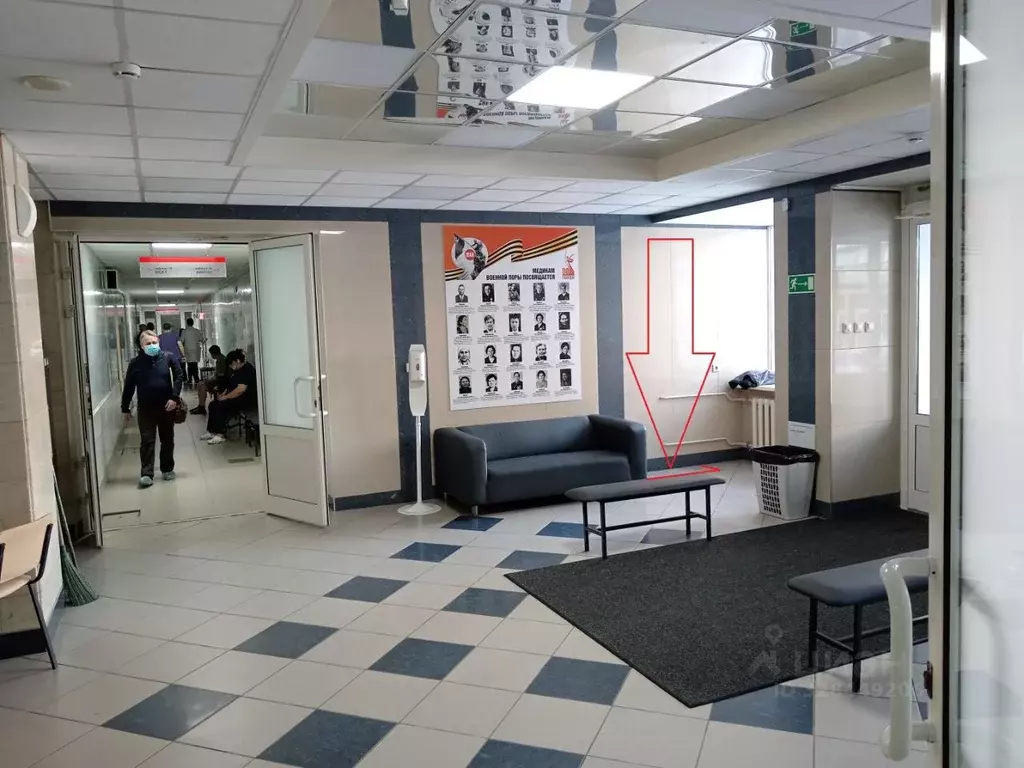 Торговая площадь в Алтайский край, Барнаул Молодежная ул., 20 (2 м) - Фото 2