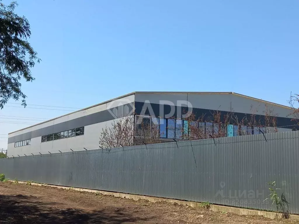 Склад в Краснодарский край, Краснодар пос. Березовый, 31/4 (1450 м) - Фото 2