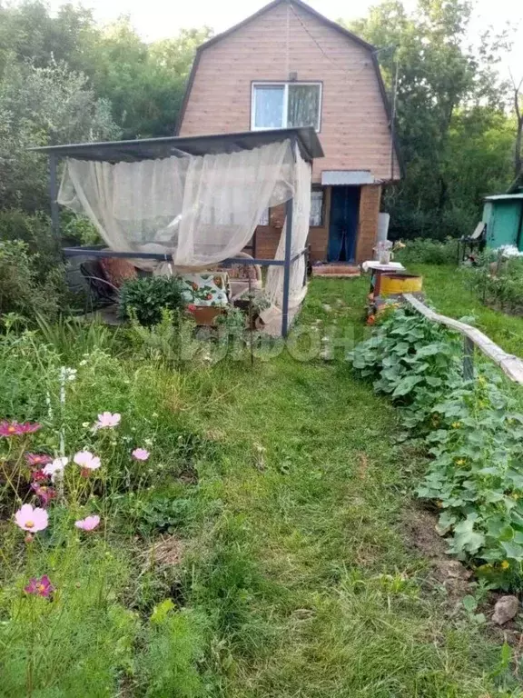 Дом в Новосибирская область, Новосибирск  (30 м) - Фото 1
