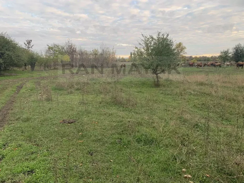 Участок в Адыгея, Майкоп городской округ, пос. Северный ул. Новая ... - Фото 1