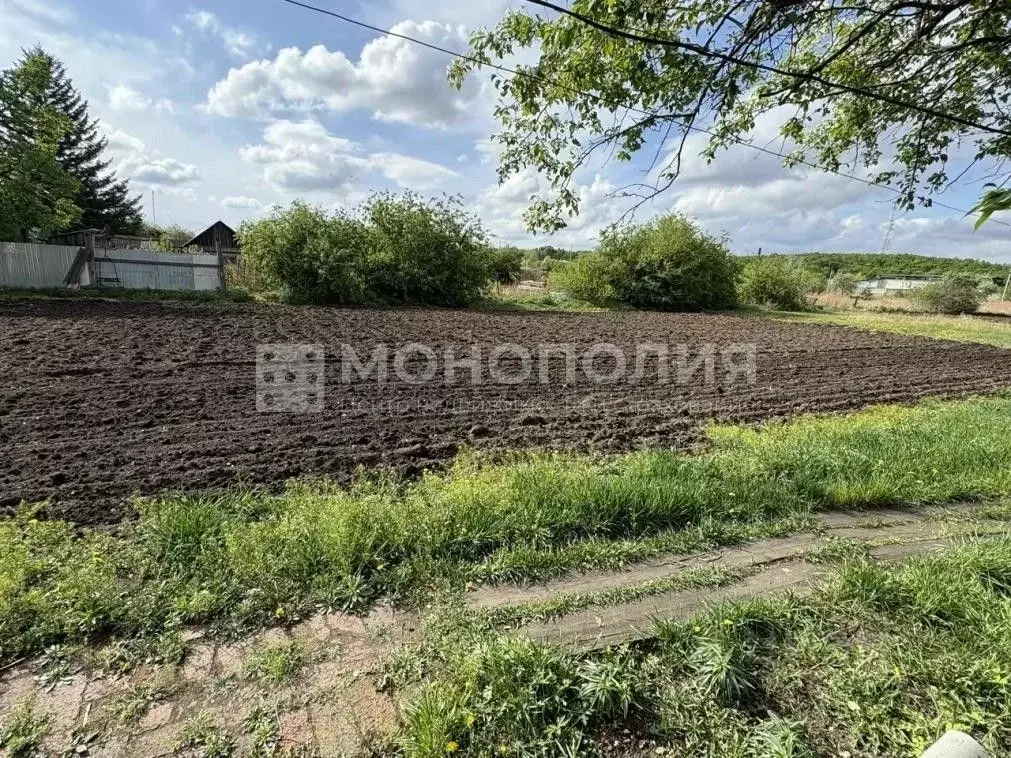 Участок в Амурская область, Серышевский муниципальный округ, с. ... - Фото 1