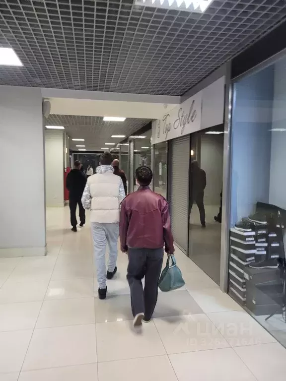 Торговая площадь в Воронежская область, Воронеж ул. Фридриха Энгельса, ... - Фото 2