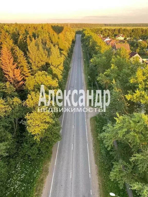 Участок в Клопицкое сельское поселение, деревня Будино (12.5 м) - Фото 1