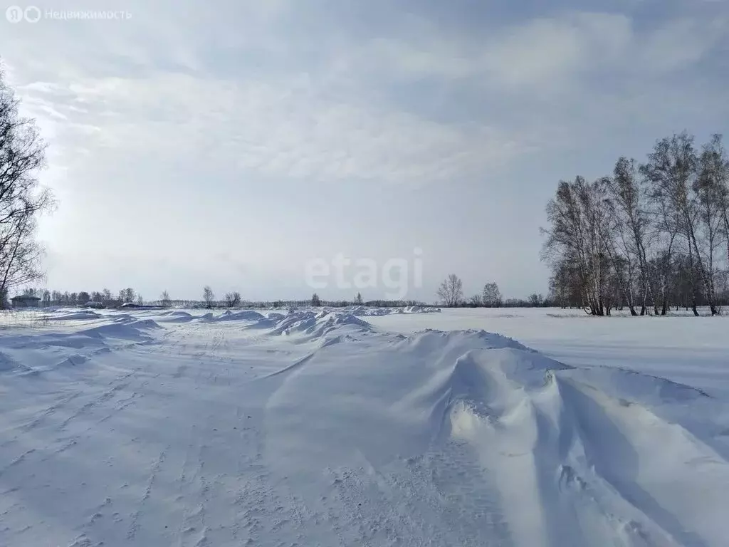 Участок в Плотниковский сельсовет, садовое некоммерческое товарищество ... - Фото 1