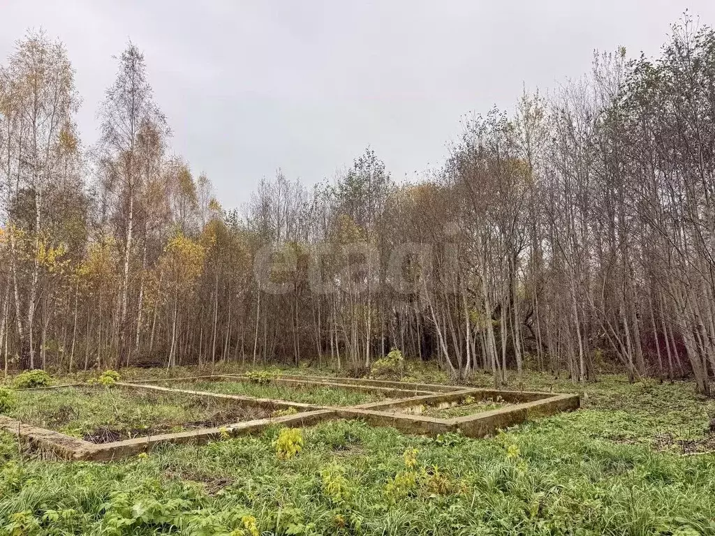 Участок в Смоленская область, Смоленск Подснежники садоводческое ... - Фото 2