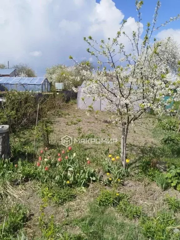 Дом в Брянская область, Брянский район, Новодарковичское с/пос, пос. ... - Фото 1