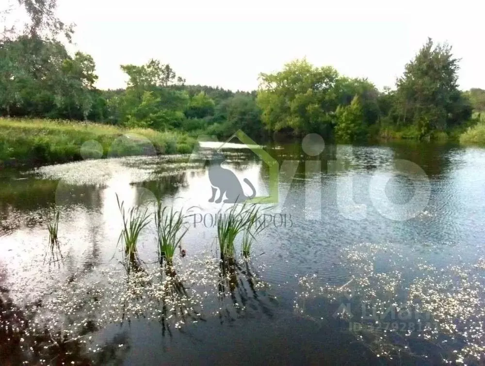 Дом в Самарская область, Сызранский район, с. Рамено Цветочный пер., 2 ... - Фото 1