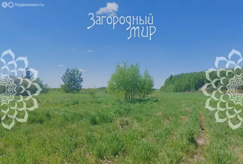 Участок в Богородский городской округ, деревня Старые Псарьки (10 м) - Фото 1