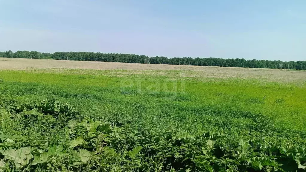 Участок в Тюменская область, Тюменский район, с. Каменка  (10.0 сот.) - Фото 1