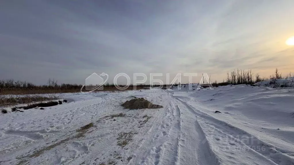 Участок в Тюменская область, Тюмень Велижанский тракт, 9-й км (100.0 ... - Фото 2