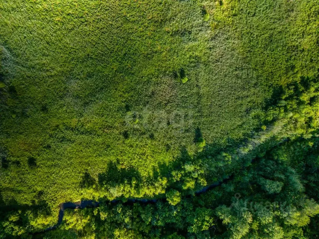 Участок в Хабаровский край, Хабаровский район, с. Гаровка-1 ул. Ясная, ... - Фото 1