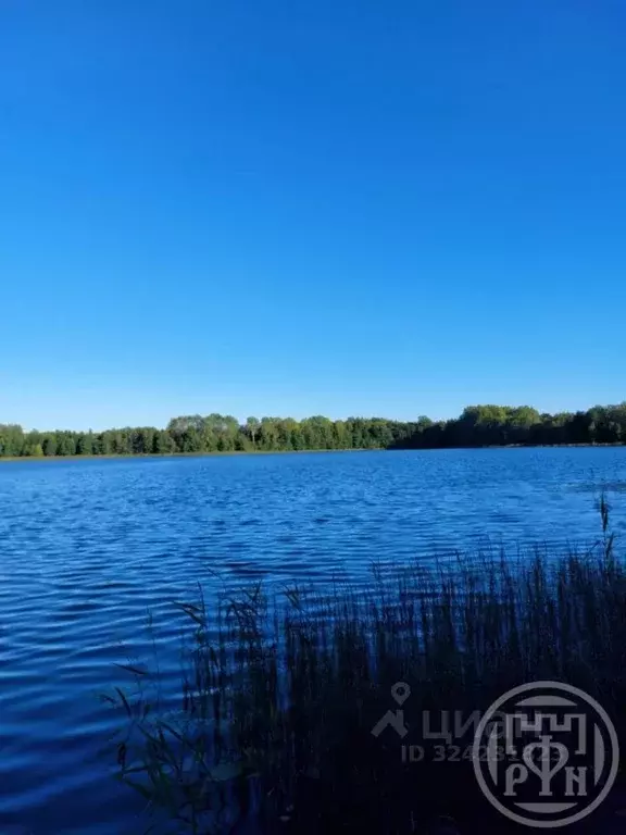 Участок в Ленинградская область, Лужский район, Серебрянское с/пос, д. ... - Фото 2