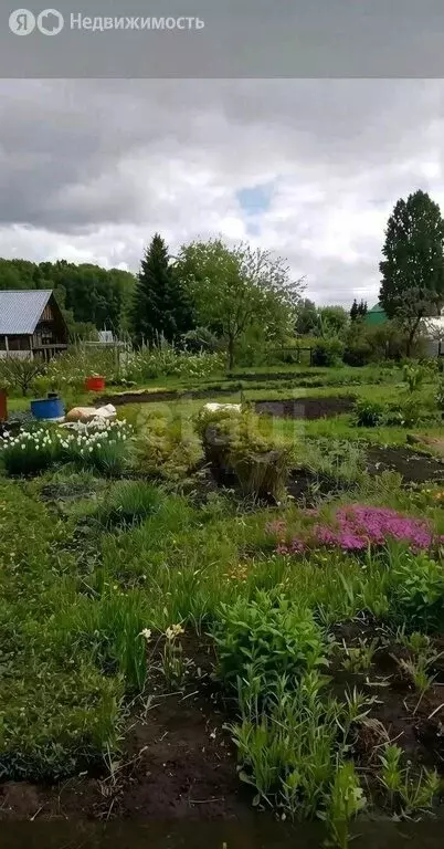 Дом в Кемеровский муниципальный округ, СНТ Маручак, 2-я аллея (20 м) - Фото 1