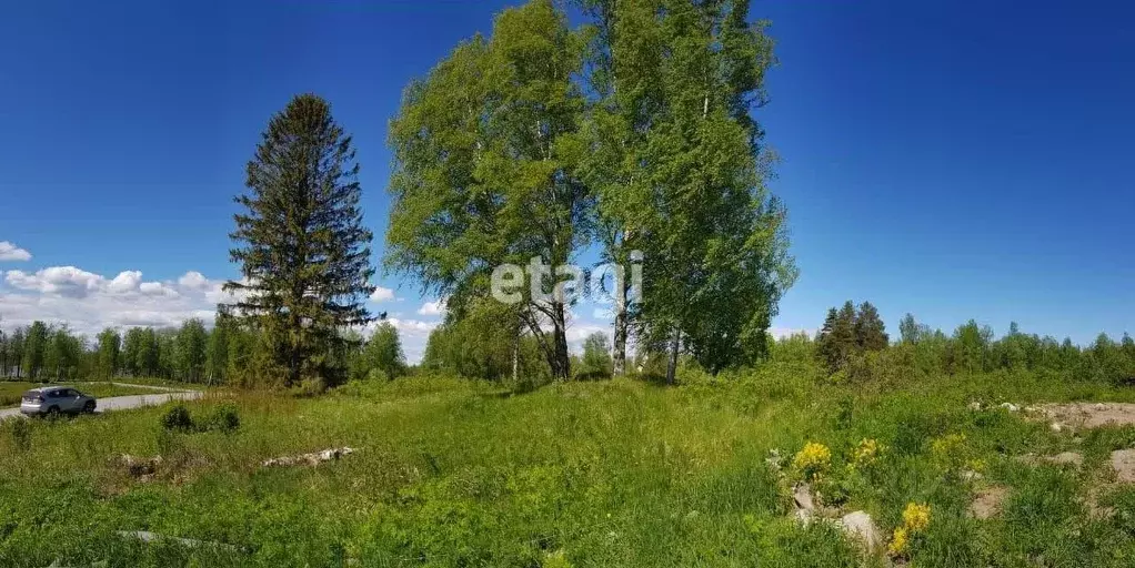 Участок в Ленинградская область, Приозерский район, Ларионовское ... - Фото 0