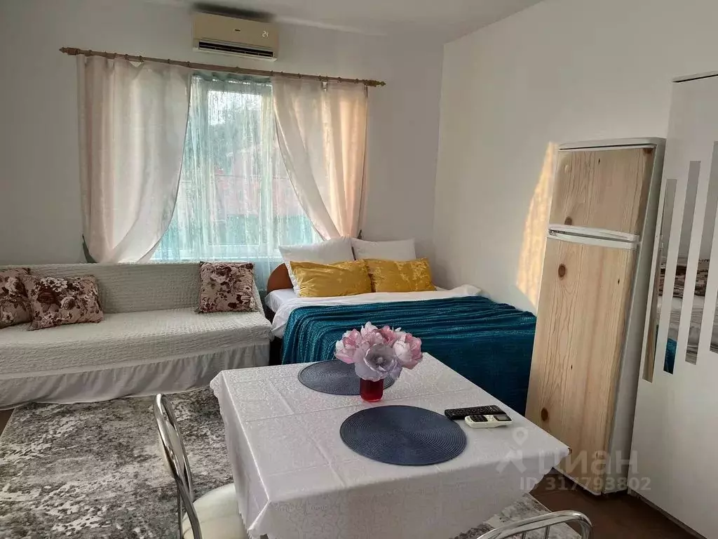 Студия Краснодарский край, Сочи ул. Просвещения, 170/6 (25.0 м) - Фото 1