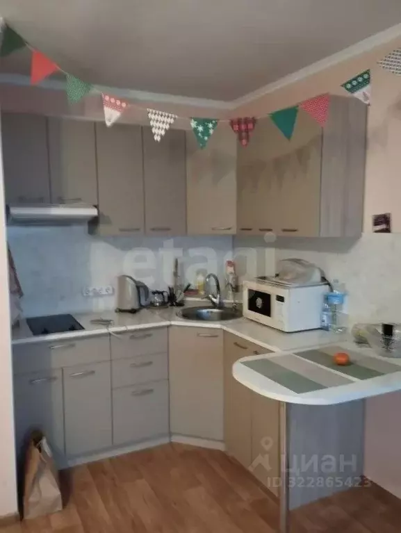 Студия Амурская область, Благовещенск Северная ул., 36/3 (31.0 м) - Фото 1