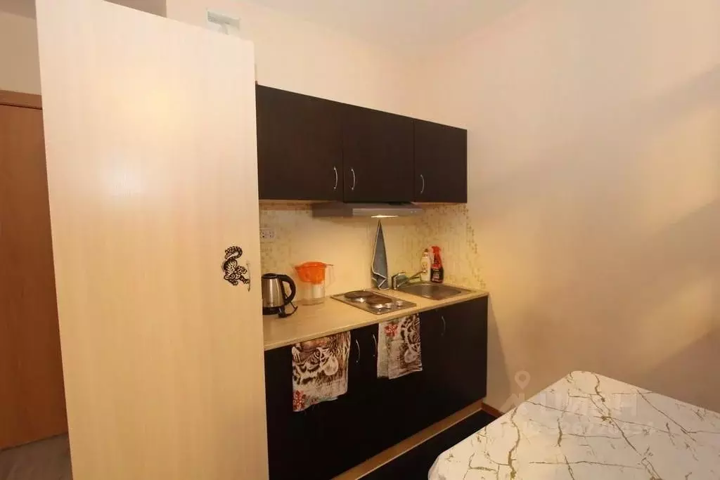 Студия Ленинградская область, Ломоносовский район, Виллозское ... - Фото 1