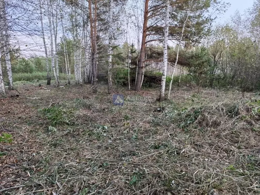 Участок в Тюменская область, Нижнетавдинский муниципальный округ, ... - Фото 2