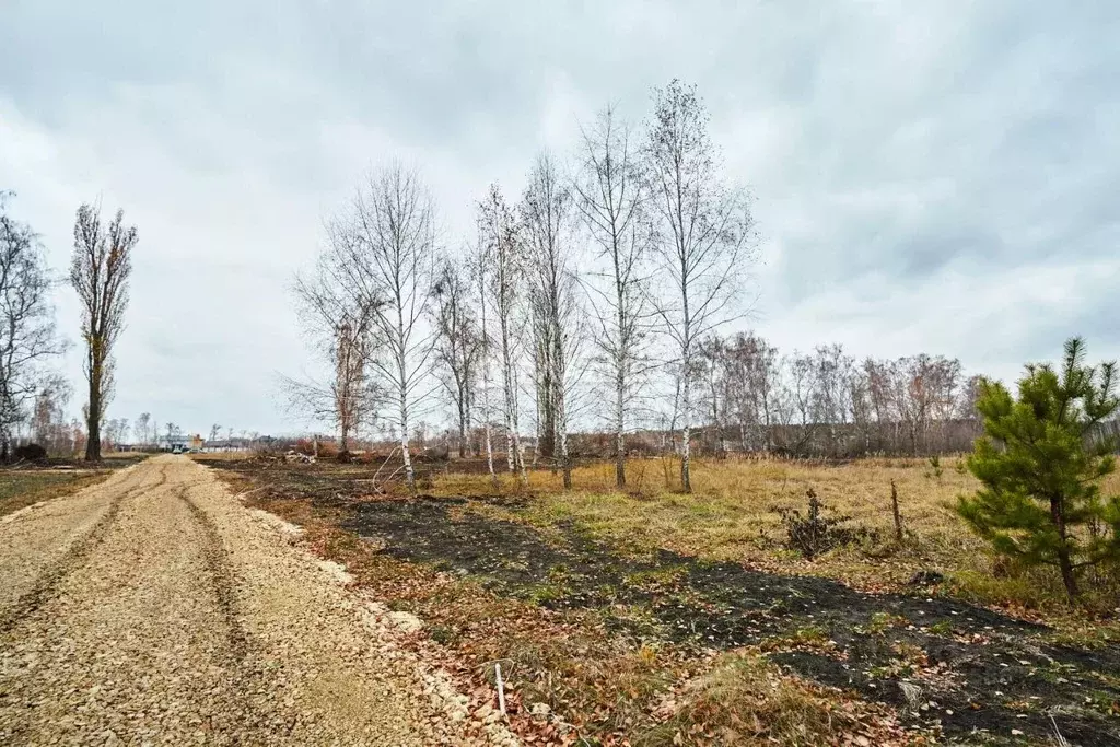 Участок в Воронежская область, Воронеж ул. Славянова (6.0 сот.) - Фото 0