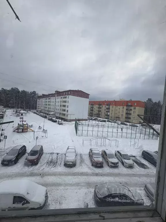 1-к кв. Московская область, Ногинск Богородский городской округ, ул. ... - Фото 2